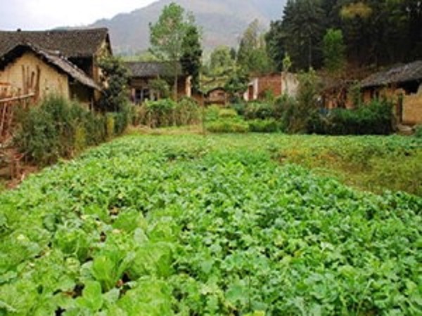 深沉的爱2.jpg 深沉的爱2.jpg